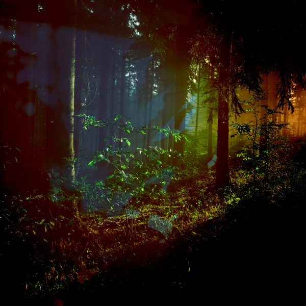 Where the Light Falls - Single album cover
