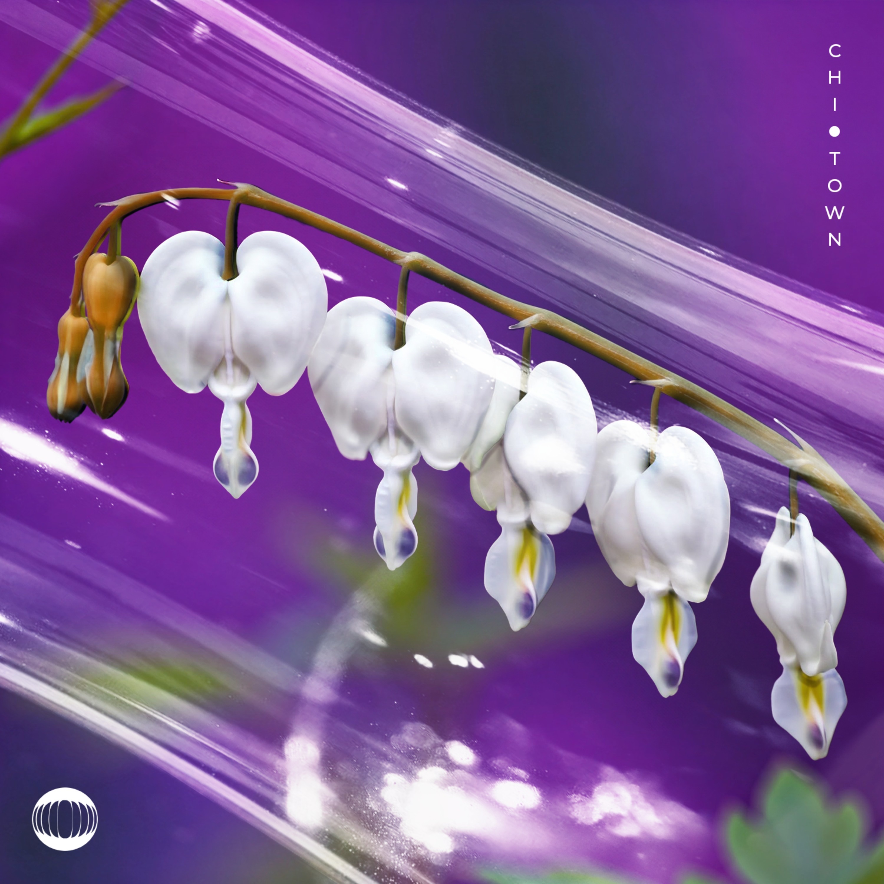 Chi-Town - Single album cover