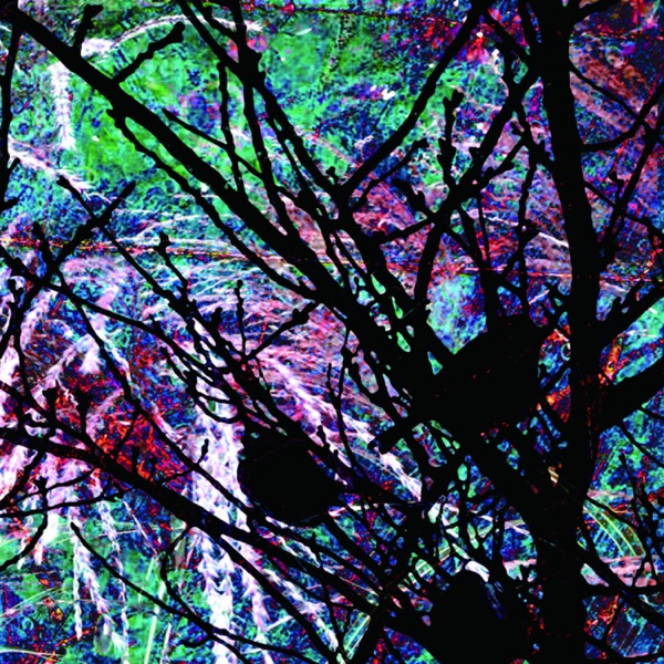 雀​色​2 Sparrow Color 2 album cover