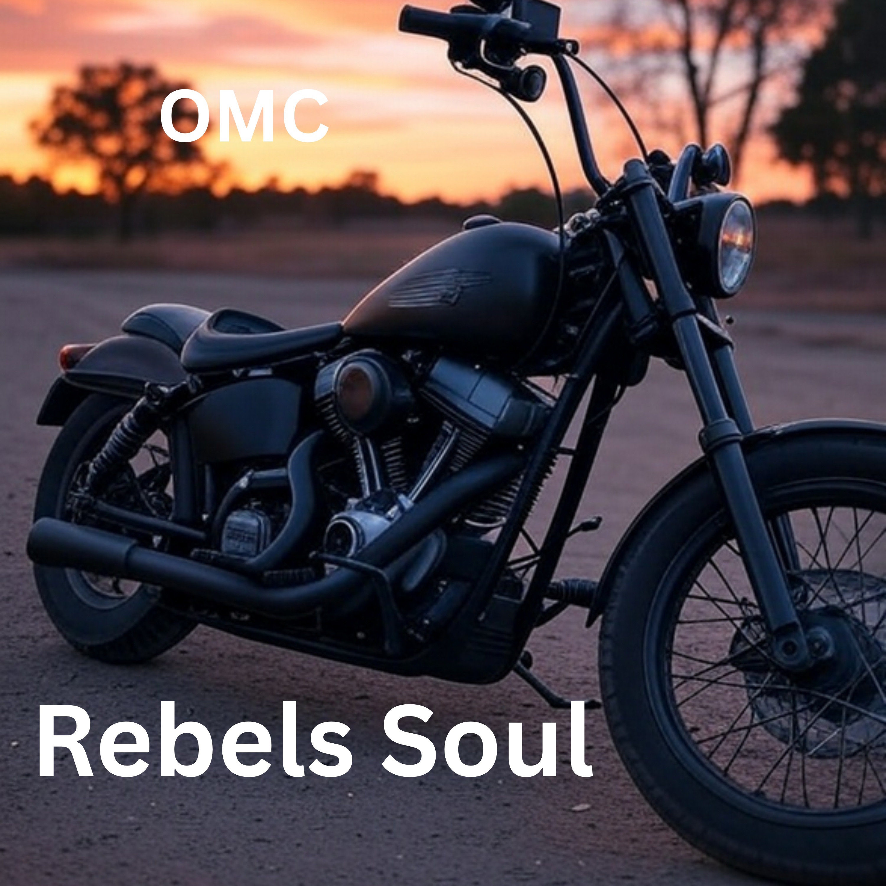 Rebels Soul - Single album cover