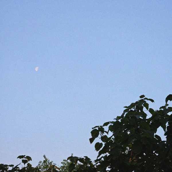 Watching Walls - Single album cover