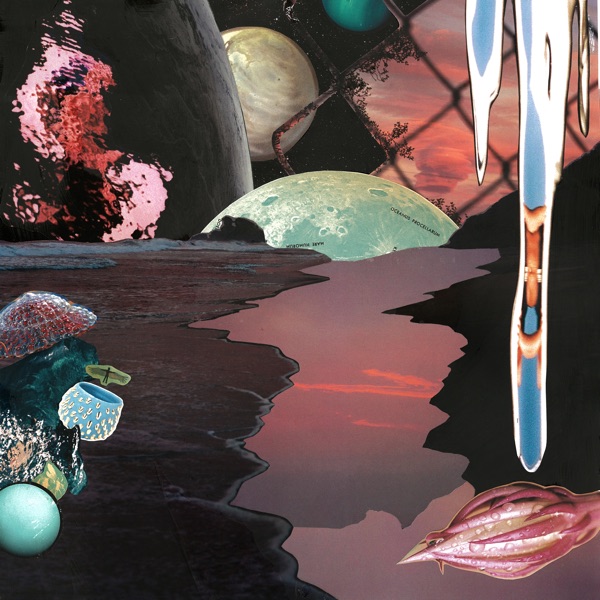 There is no Neil Frances album cover