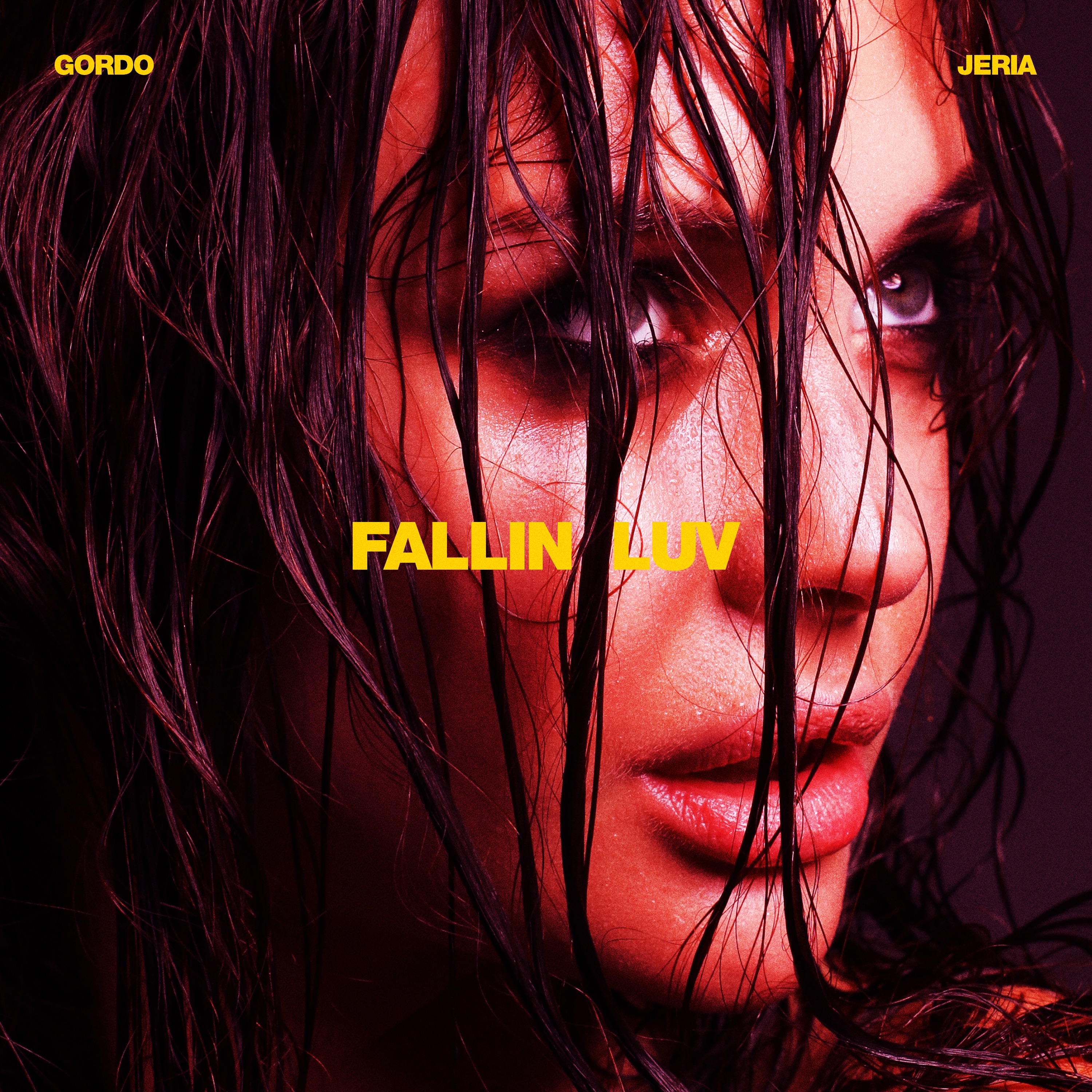 Fallin Luv - Single album cover