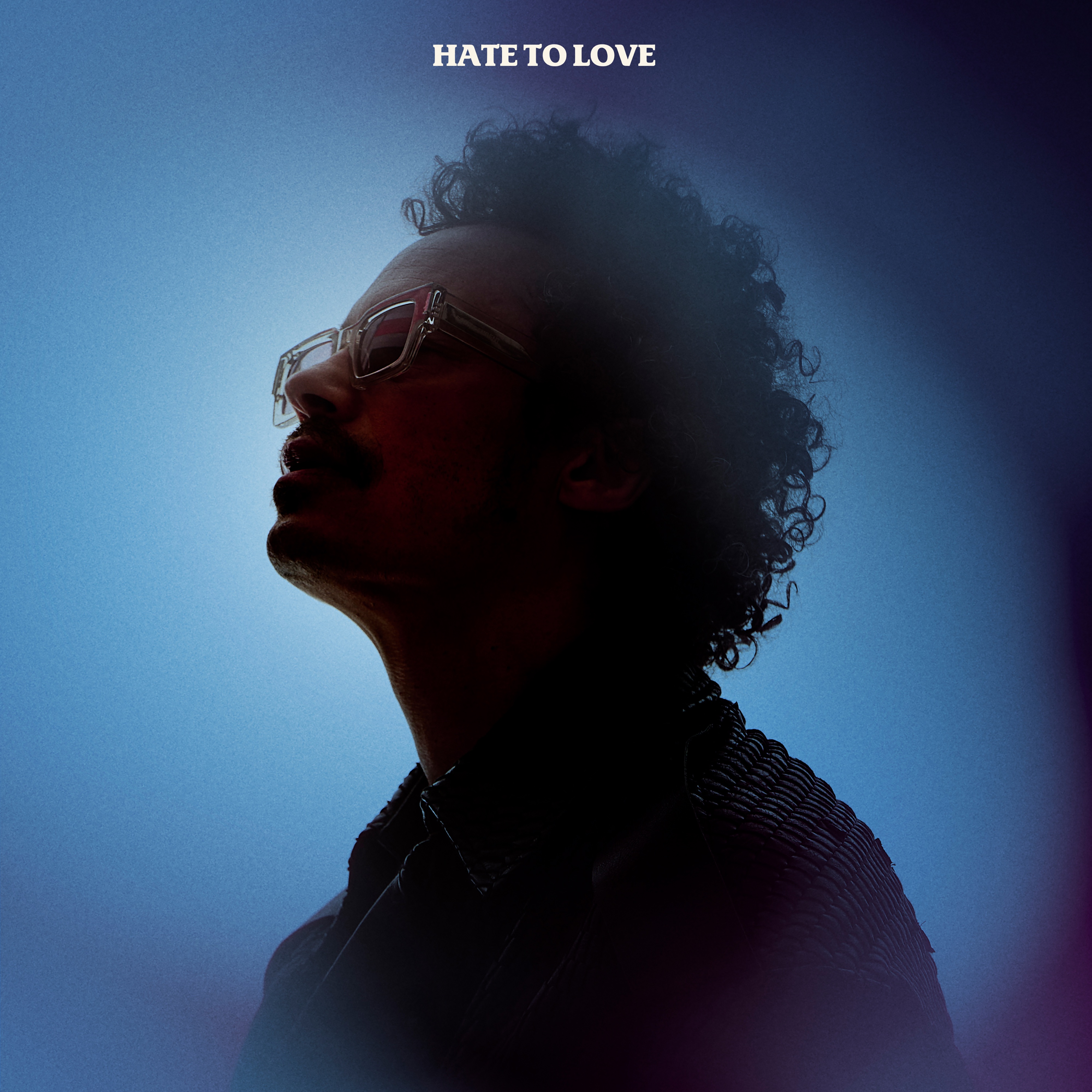 Hate to Love - Single album cover