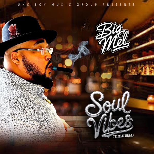 Soul Vibes album cover