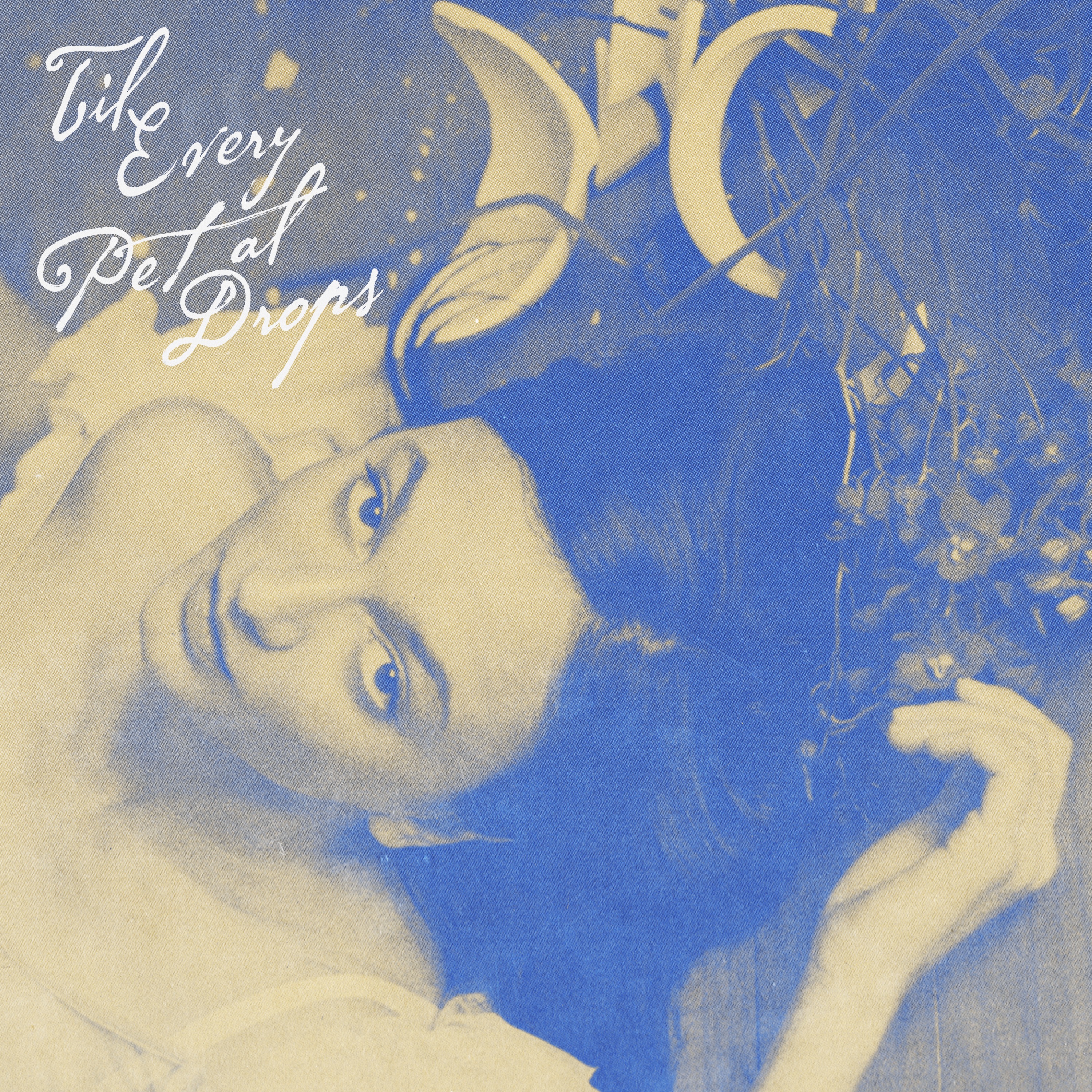 Til Every Petal Drops album cover