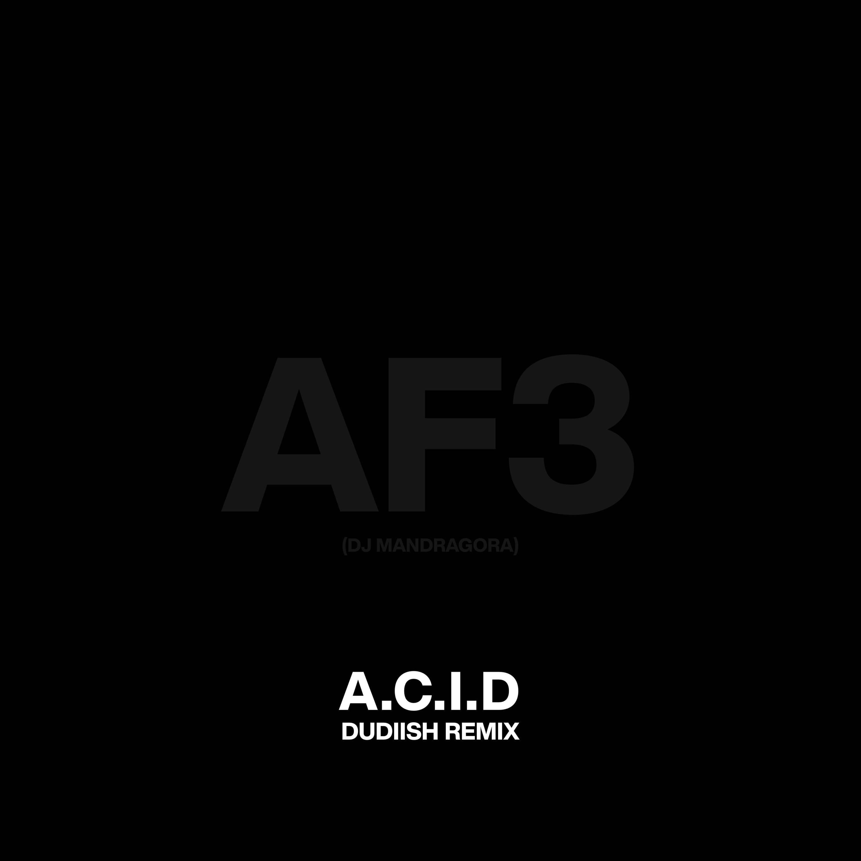 A.C.I.D (Dudiish Remix) - Single album cover