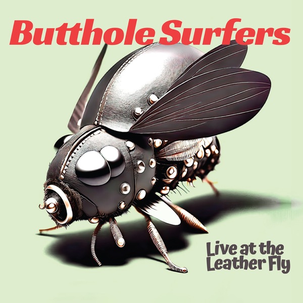 Live at the Leather Fly album cover