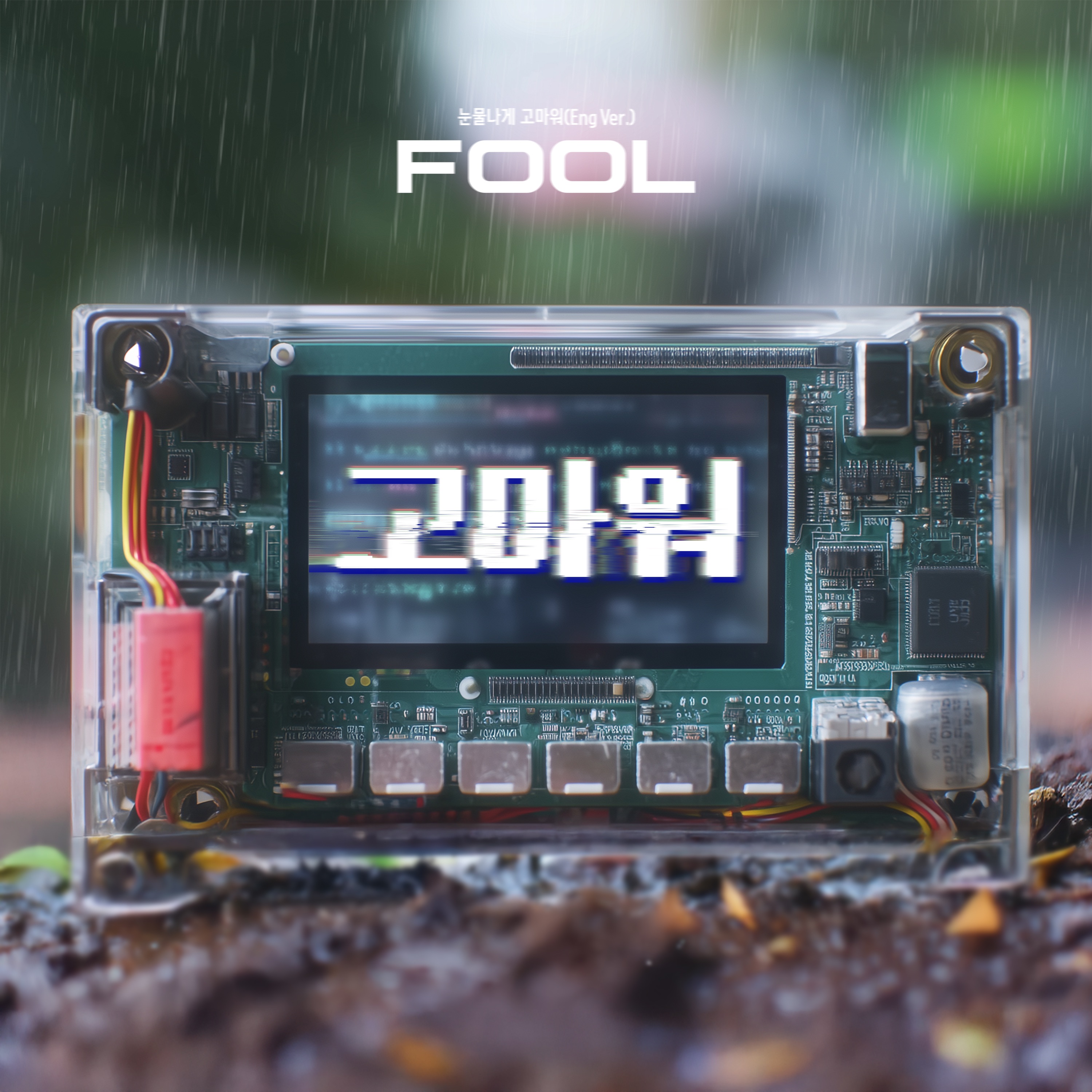 FOOL (눈물나게 고마워) [Eng Ver.] - Single album cover