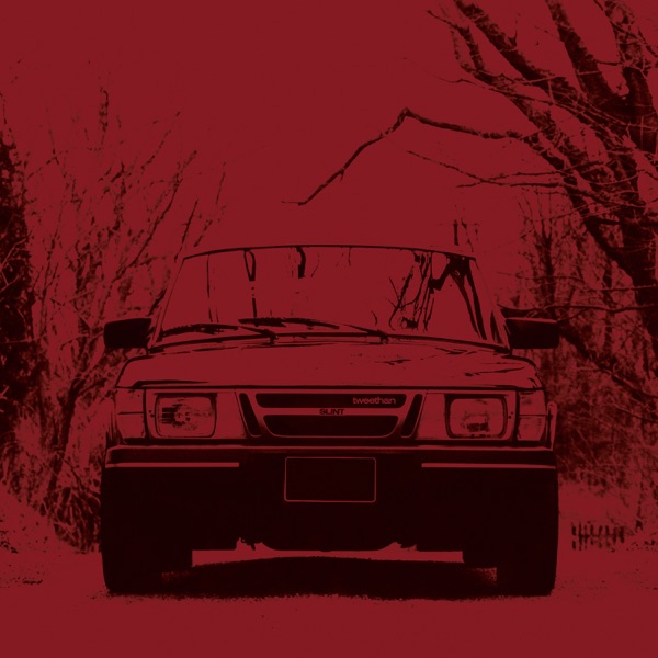 Hippie Chick (tweethan mix) - Single album cover