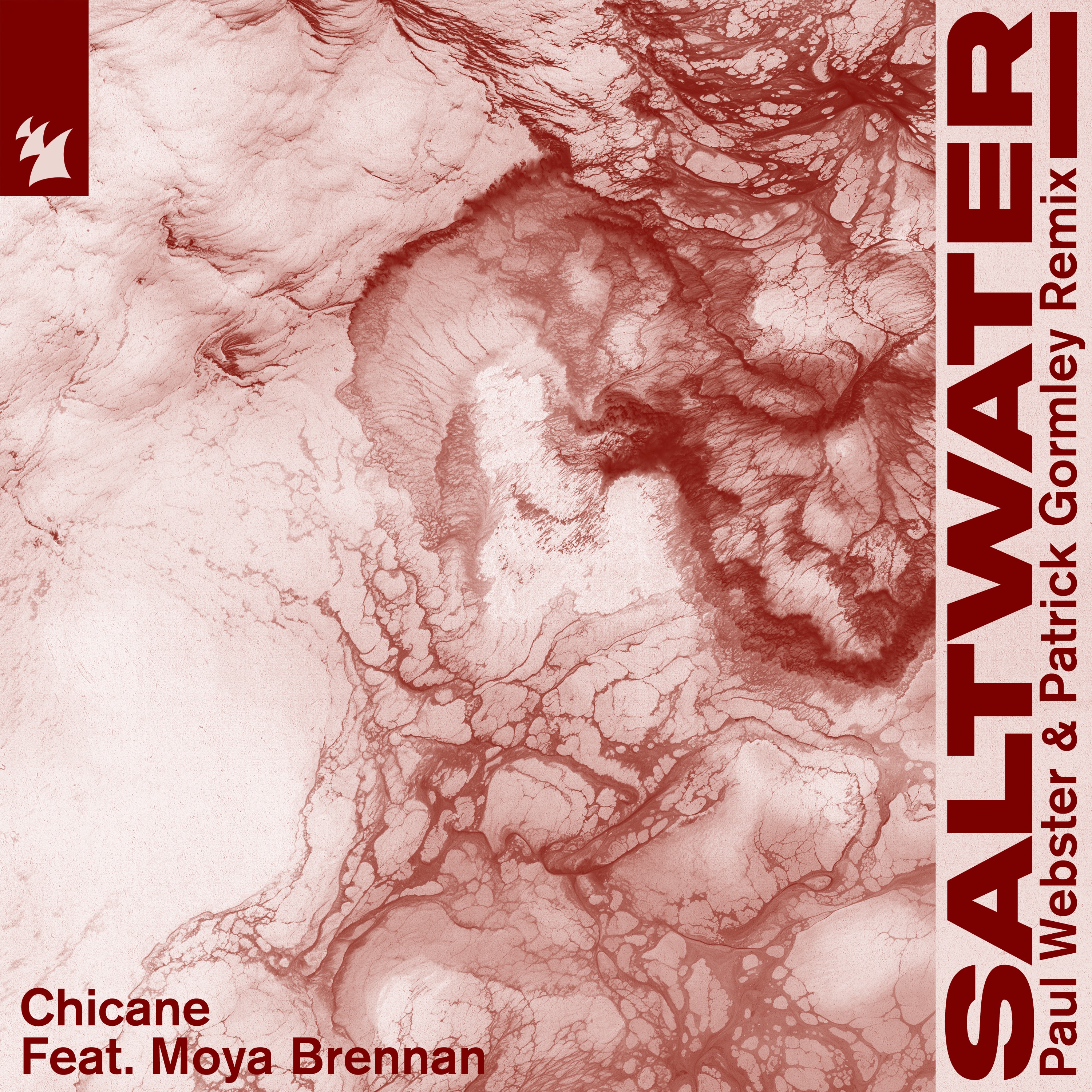 Saltwater (feat. Moya Brennan) [Paul Webster & Patrick Gormley Remix] - Single album cover