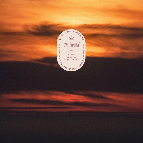 Polaroid - Single album cover