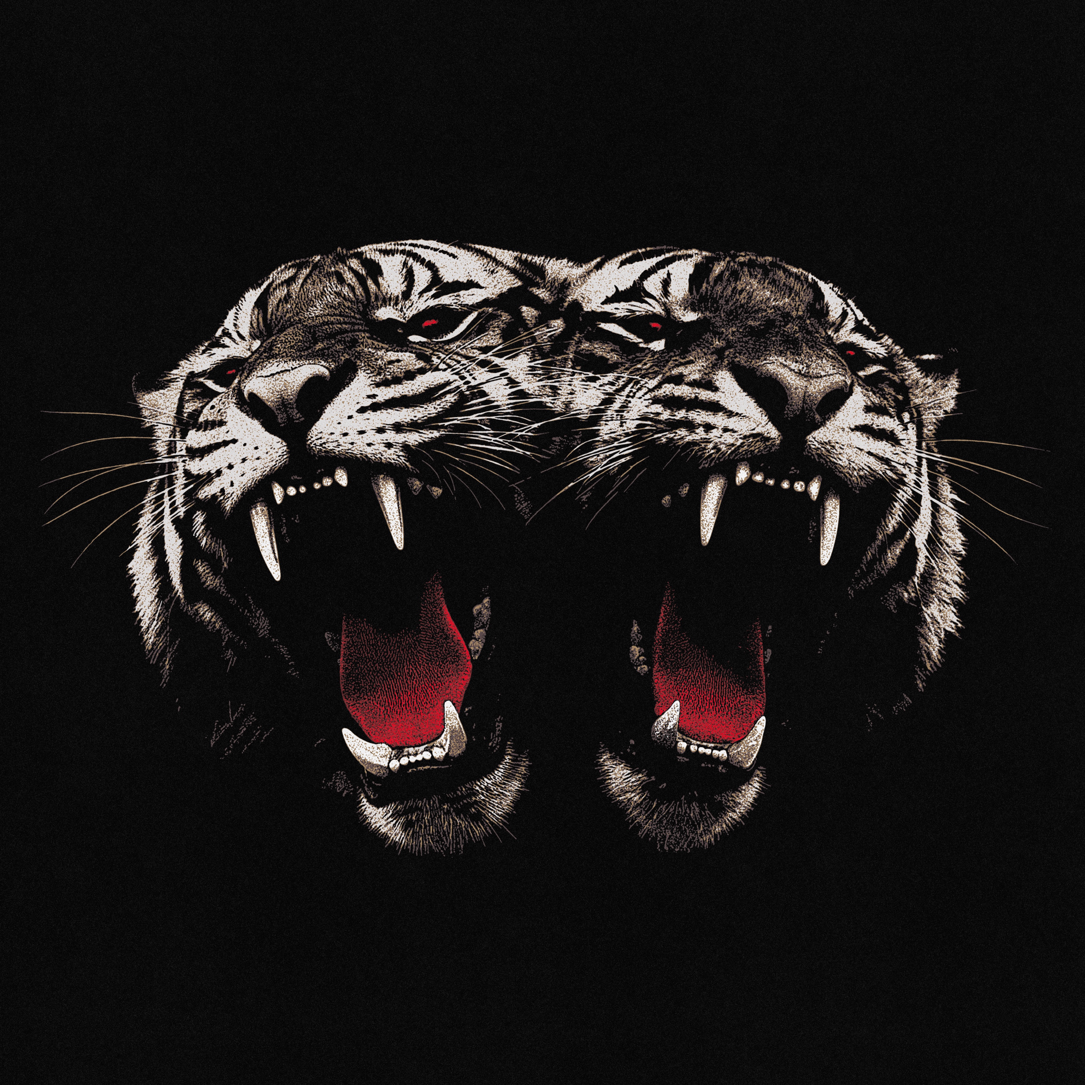 Dead Company album cover