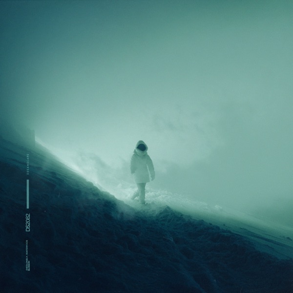 blossom (Remixes) - Single album cover