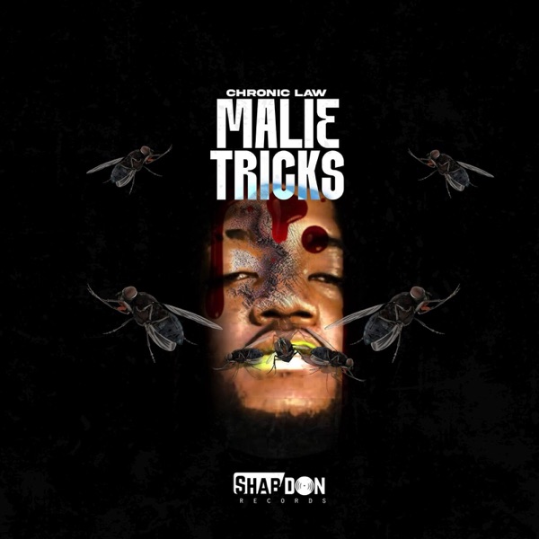 Malie Tricks - Single album cover