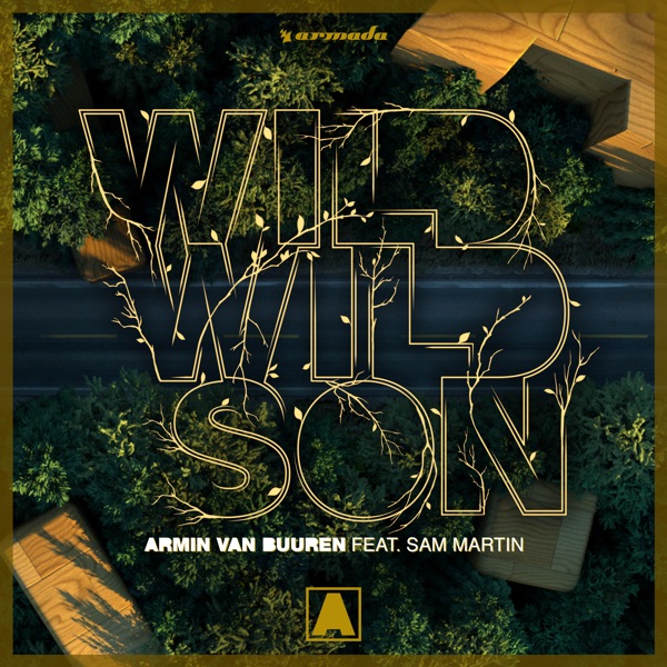 Wild Wild Son (feat. Sam Martin) - Single album cover