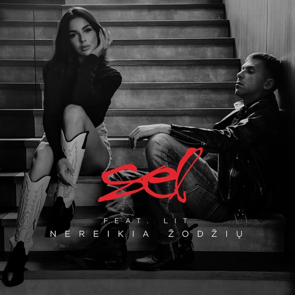 Nereikia Žodžių - Single (feat. Lit) - Single album cover