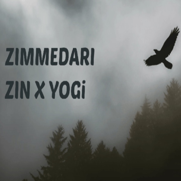 Zimmedari - Single album cover