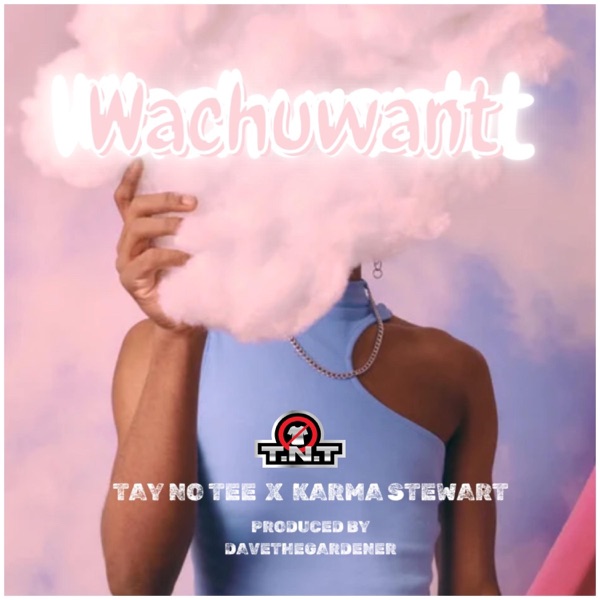 WACHUWANT (feat. Karma Stewart) - Single album cover