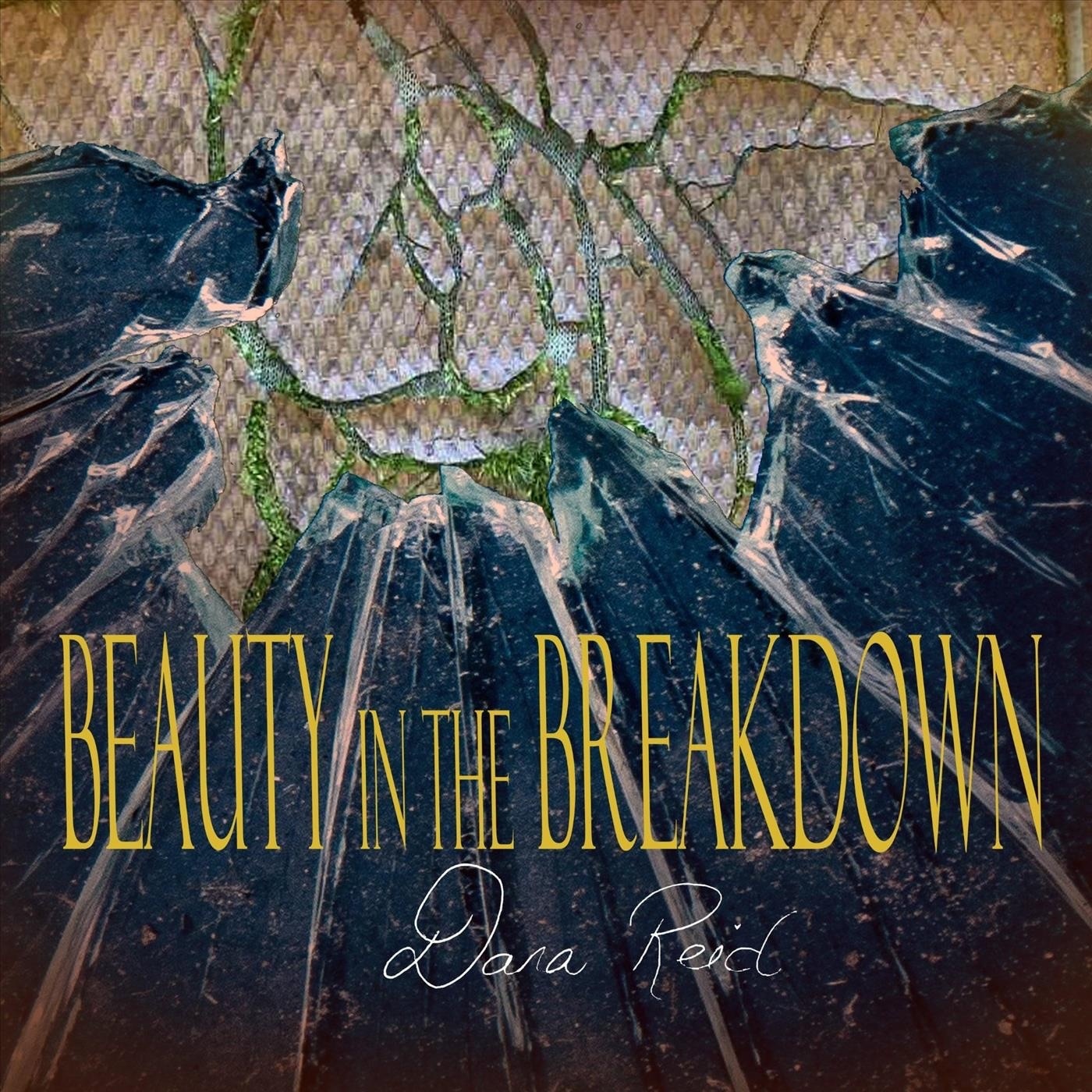 Beauty in the Breakdown - Single album cover