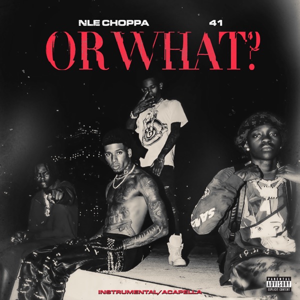 Or What (Instrumental / Acapella) - Single album cover