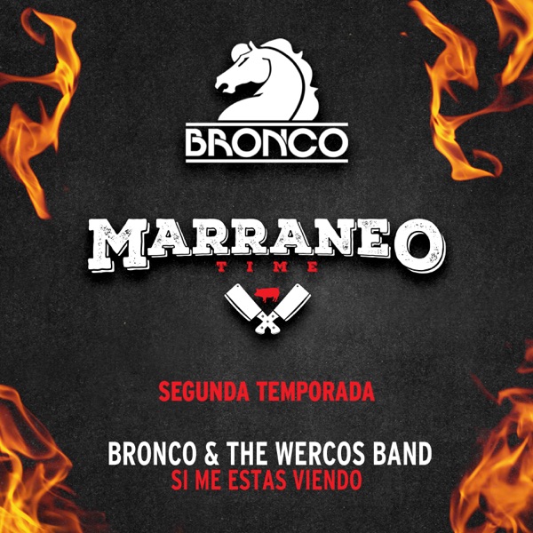 Si Me Estás Viendo ( Marraneo Time T2 ) [Acústico En Vivo 2023] - Single album cover