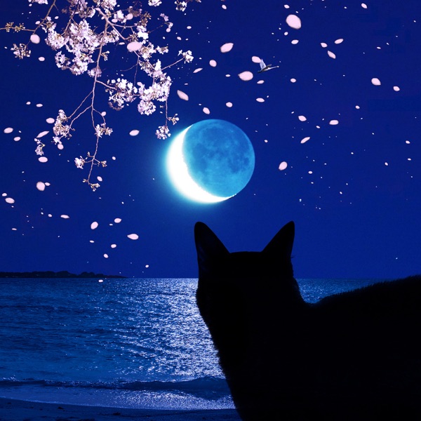 Mabushikute Mienai / Freedom Freedom Paradise Lost - Single album cover