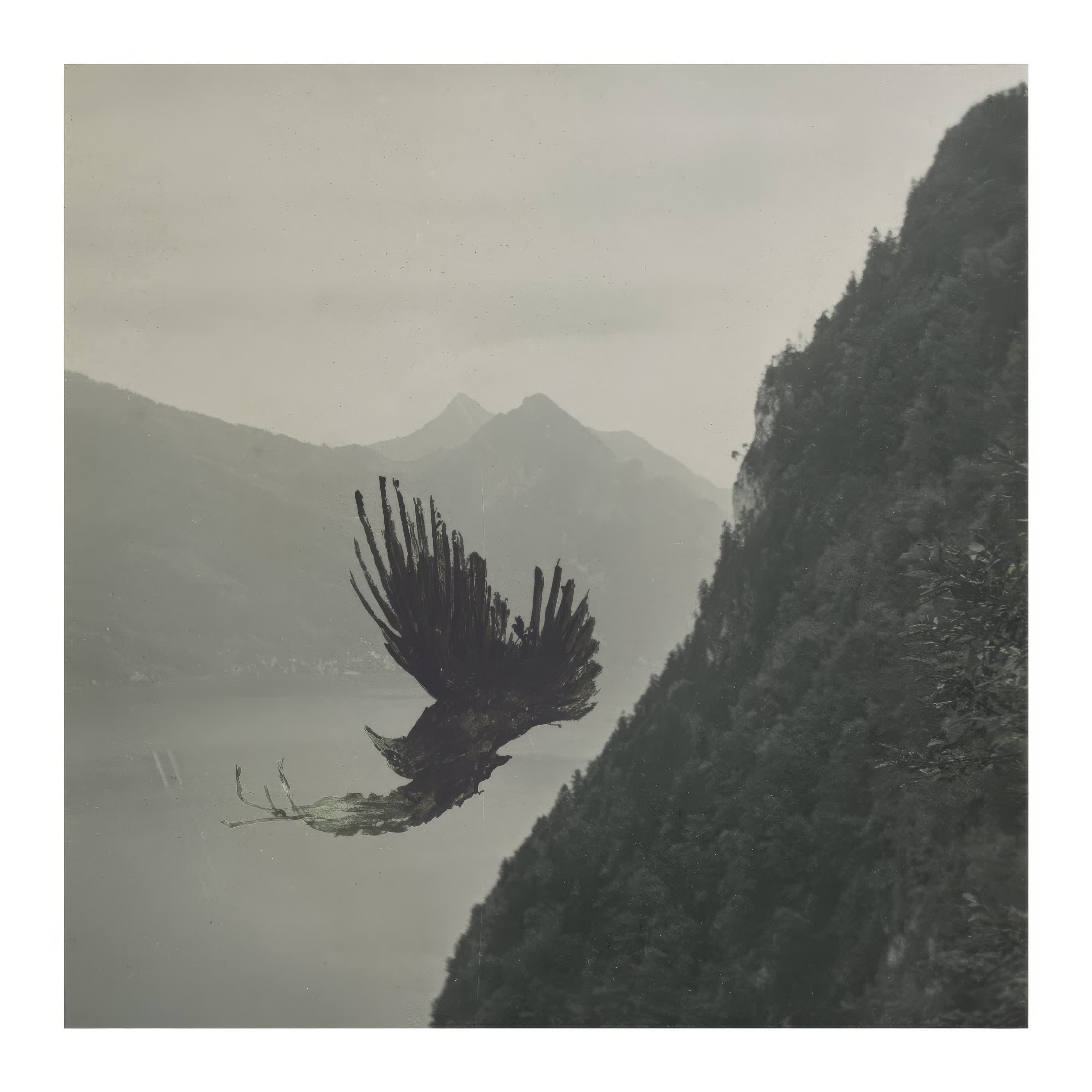 Murder Cries - Single album cover