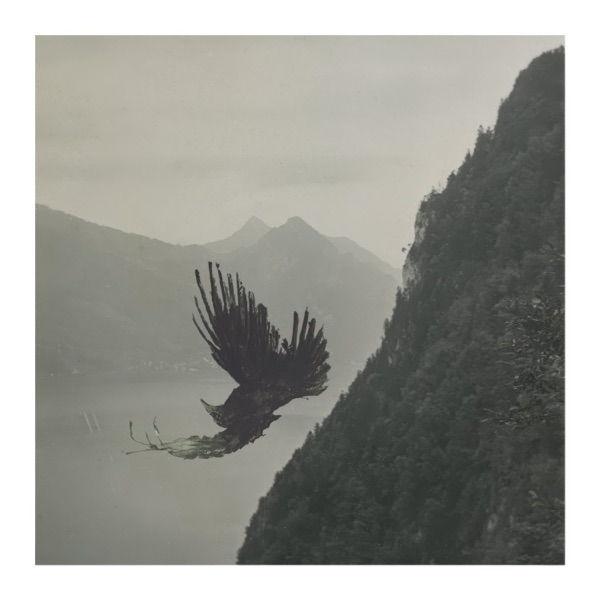 Murder Cries - Single album cover