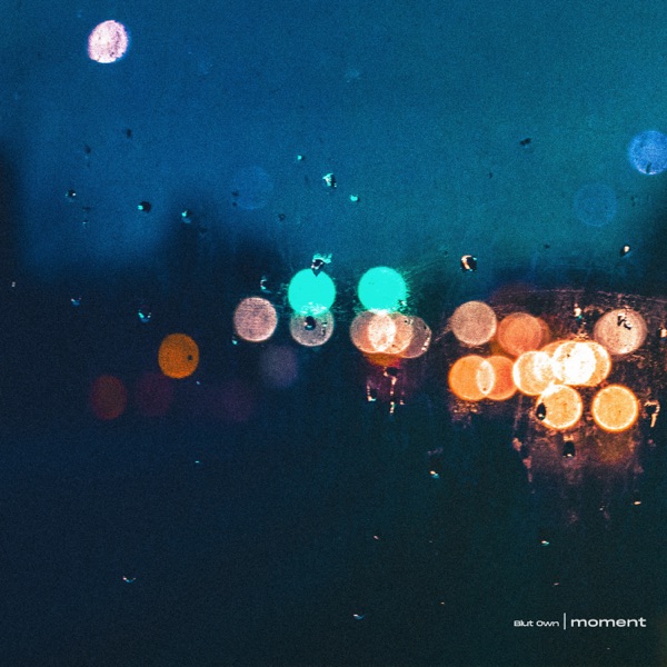Moment (VIP-edit) - Single album cover