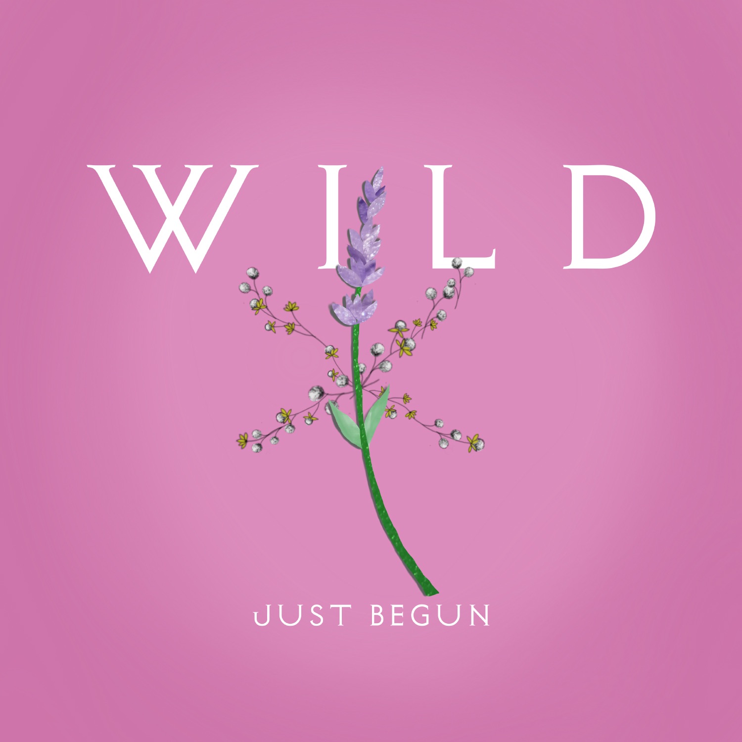 Just Begun - Single album cover