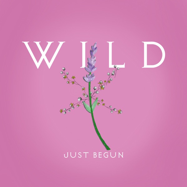 Just Begun - Single album cover