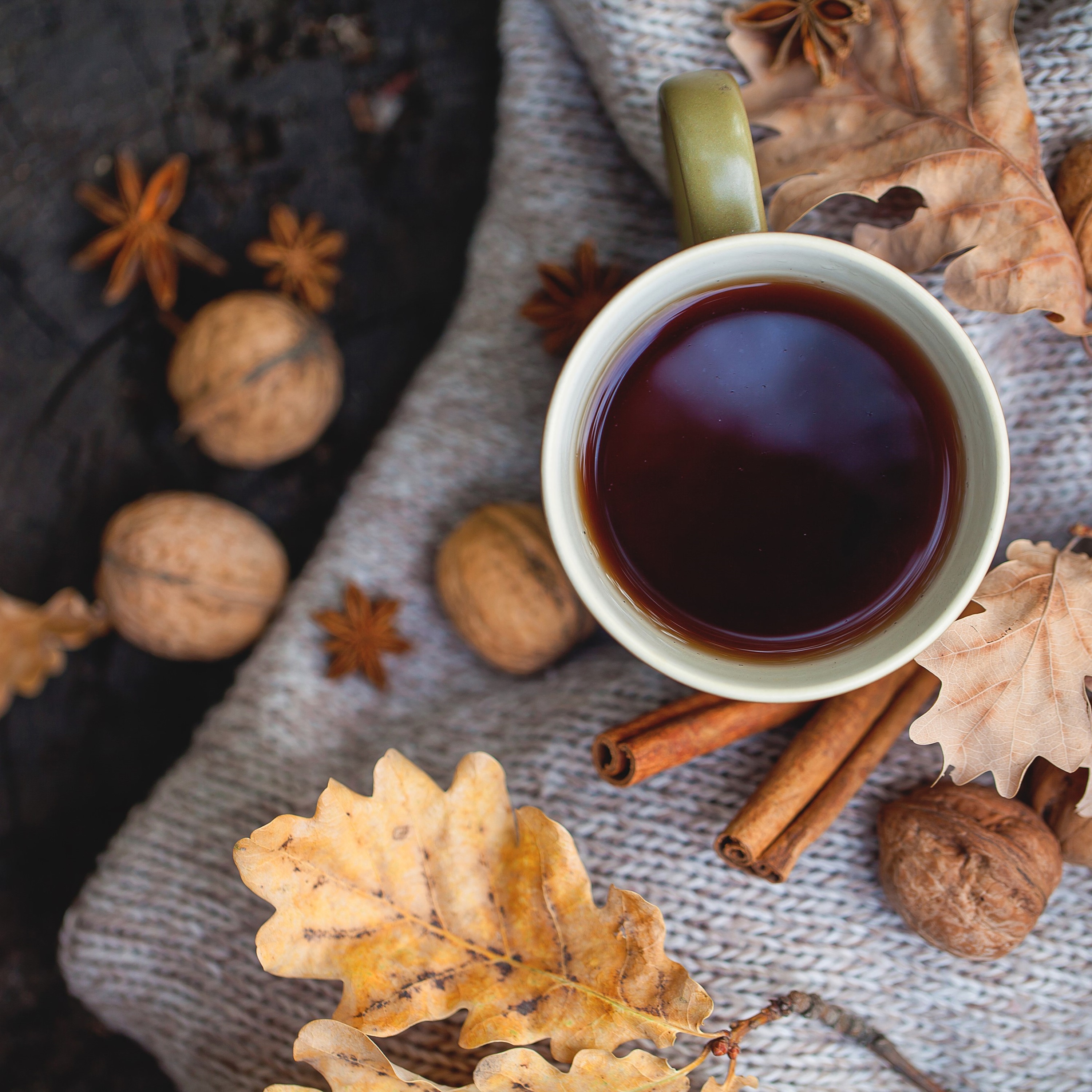 豊かな森のカフェCHILL PIANO album cover