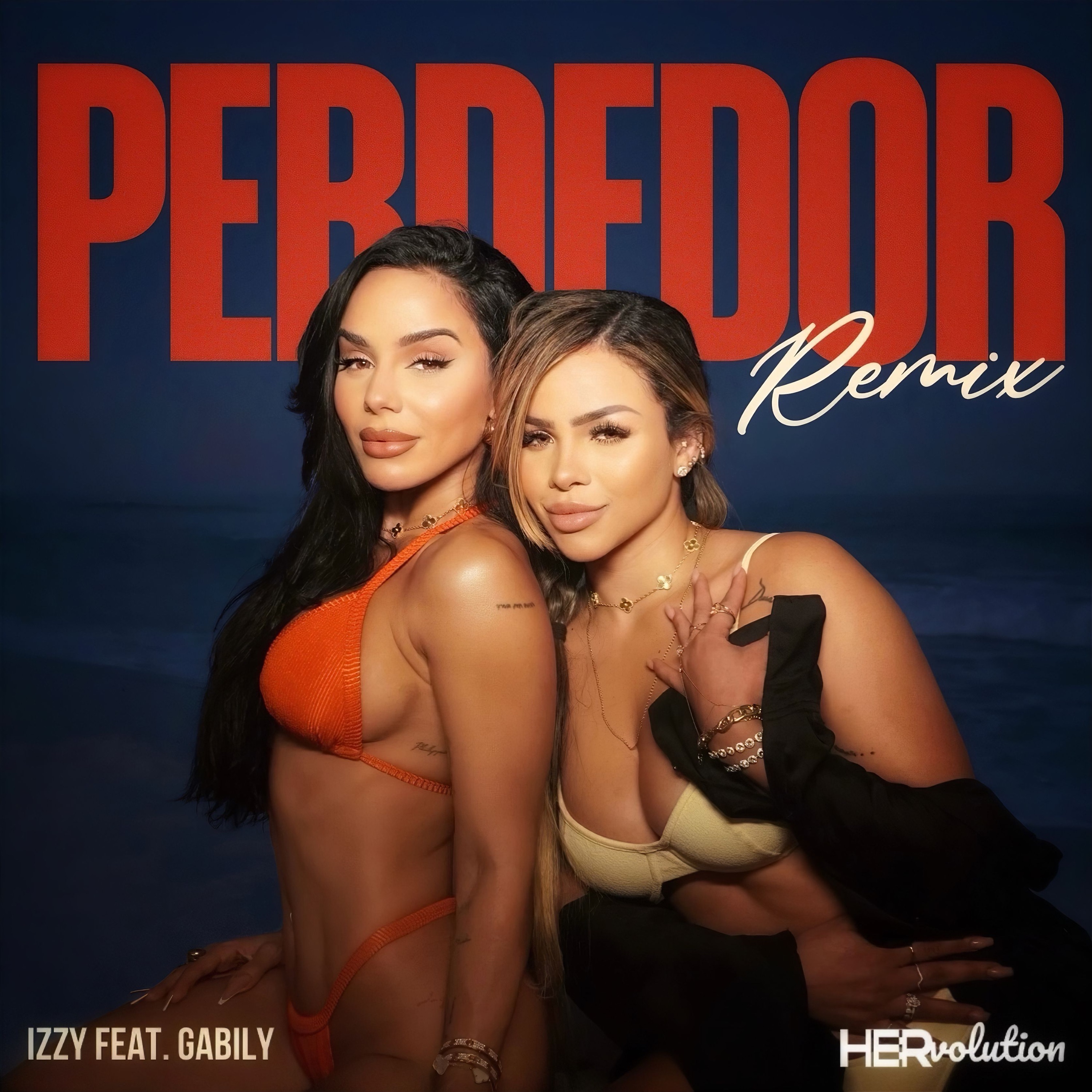 Perdedor (Remix) - Single album cover