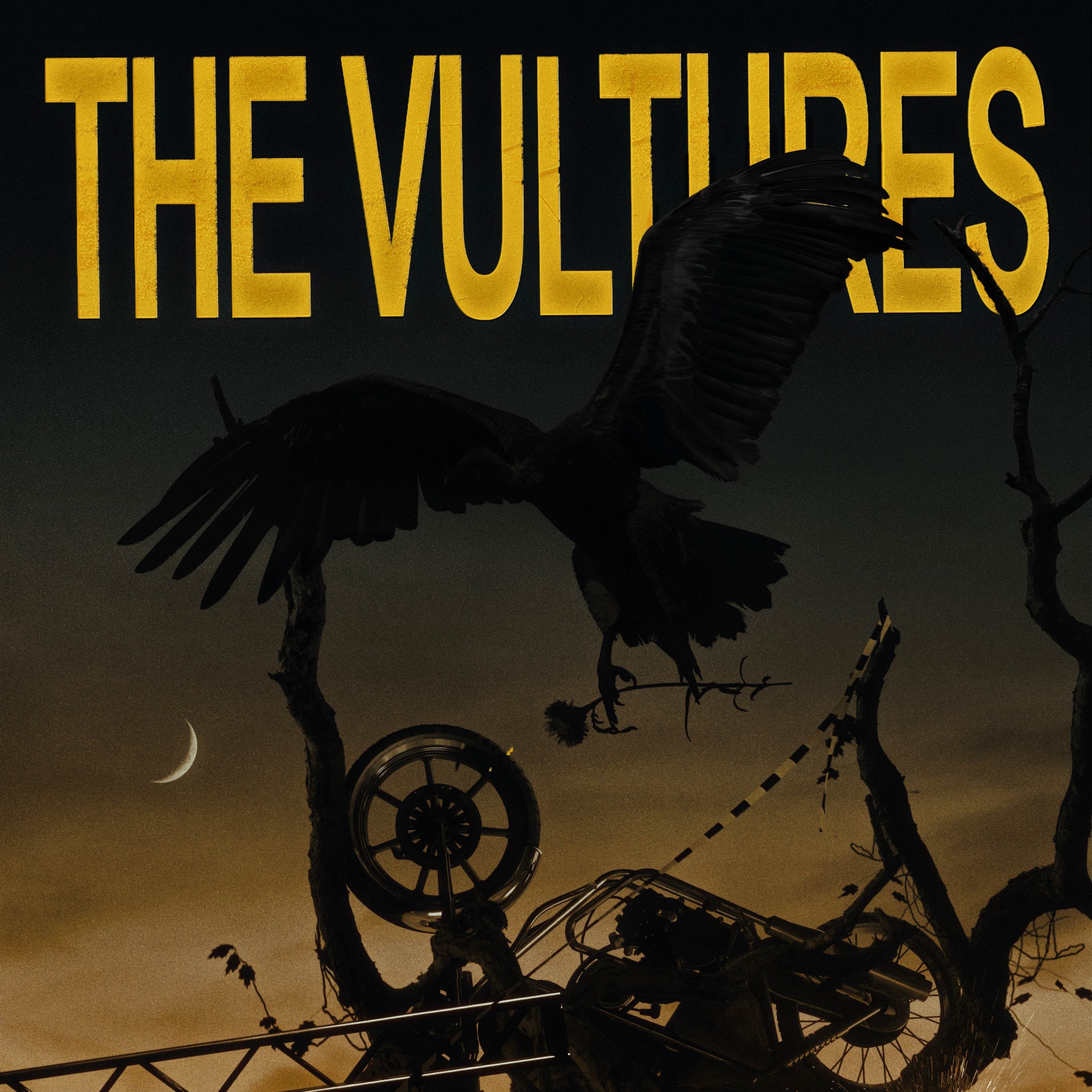 THE VULTURES - Single album cover