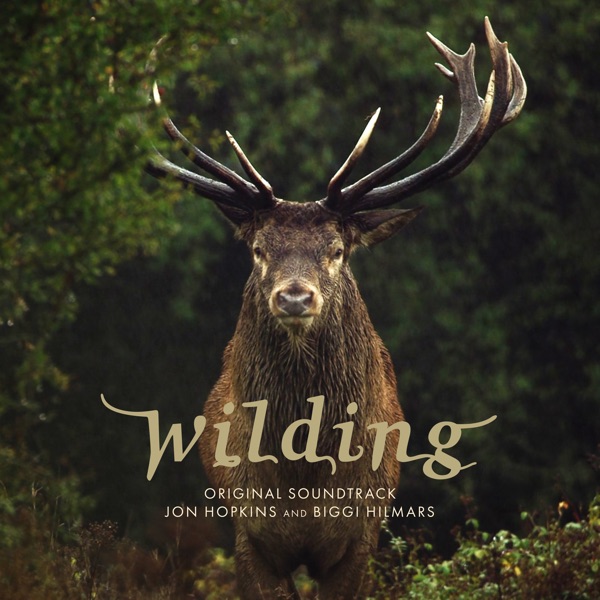 Wilding (Original Soundtrack) album cover