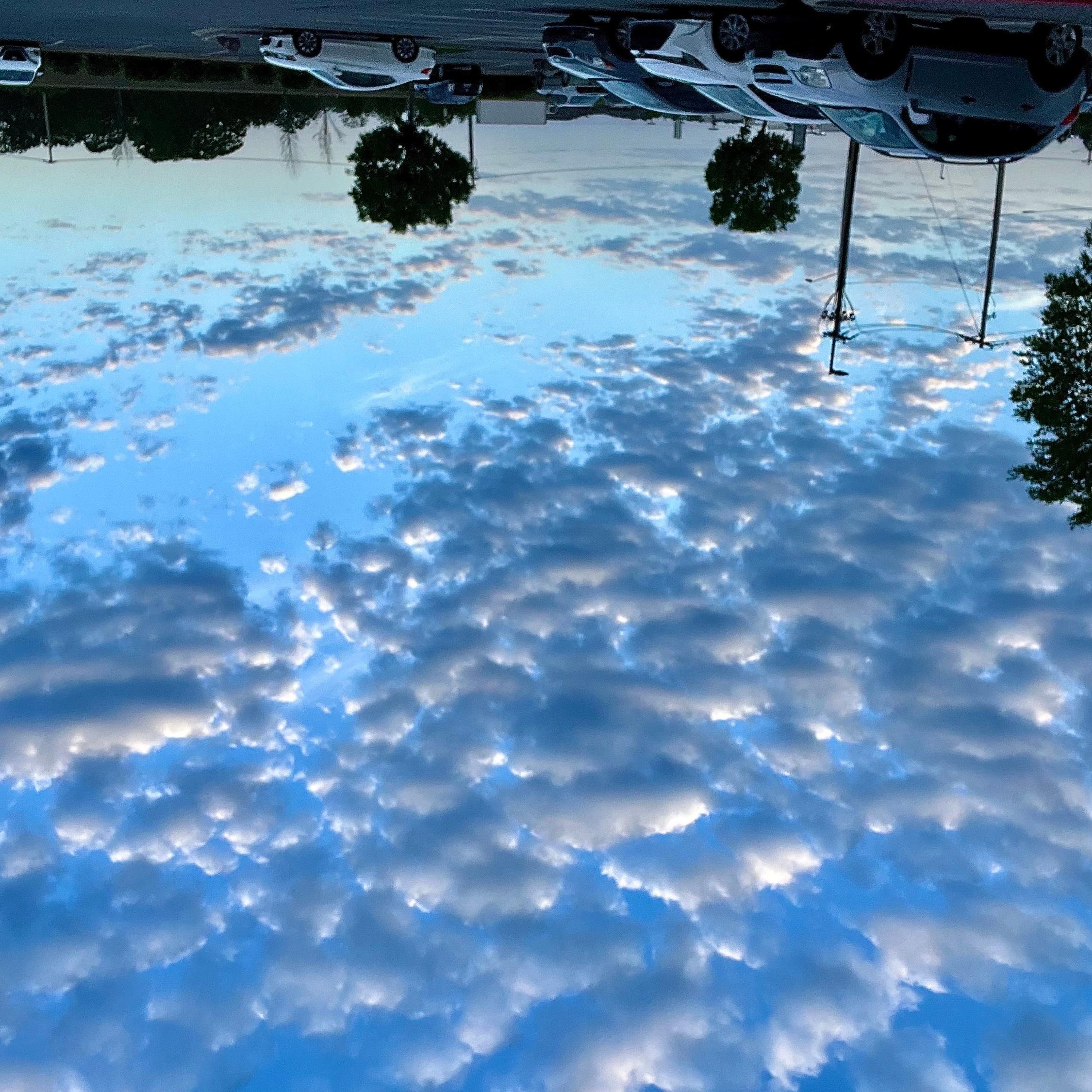 (My Sweet)Ganja Babe (feat. Michael Franti & Spearhead) [DispensaryMIX] - Single album cover