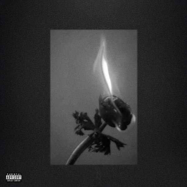 Too late - Single album cover