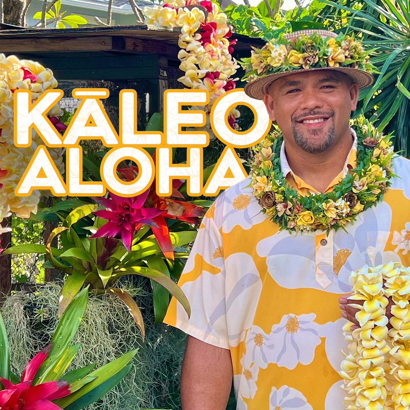 Kaleo Aloha album cover