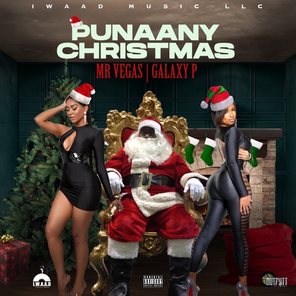 Punaany Christmas - Single album cover
