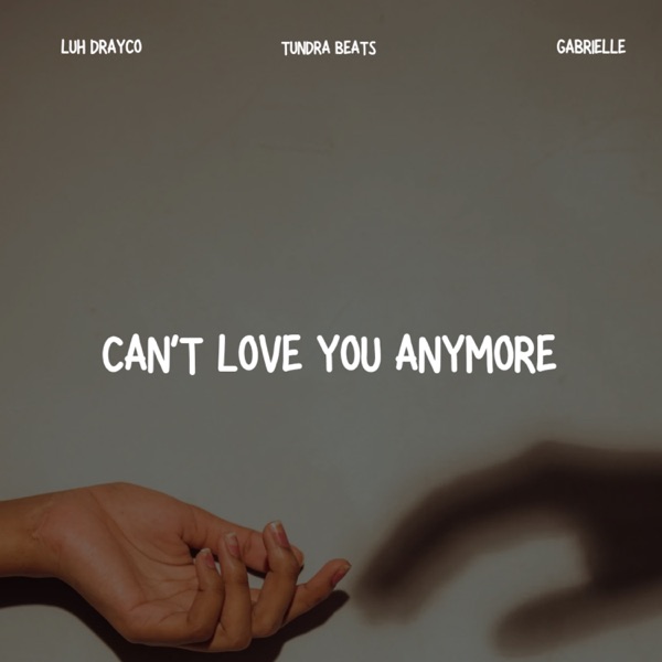 Can't Love You Anymore - Single album cover