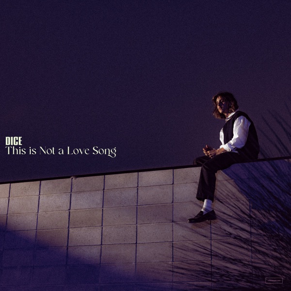 This is Not a Love Song - Single album cover