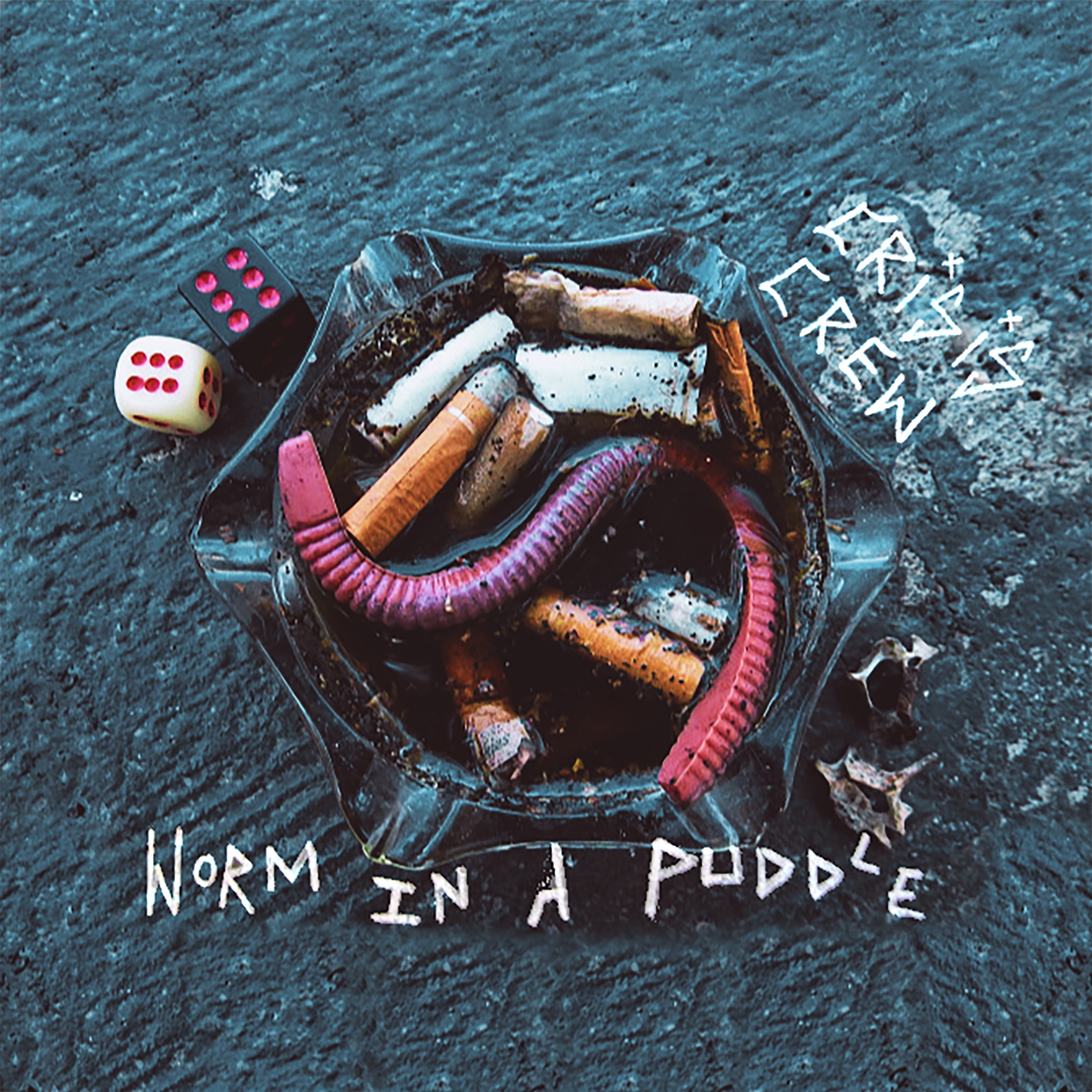 Worm in a Puddle album cover