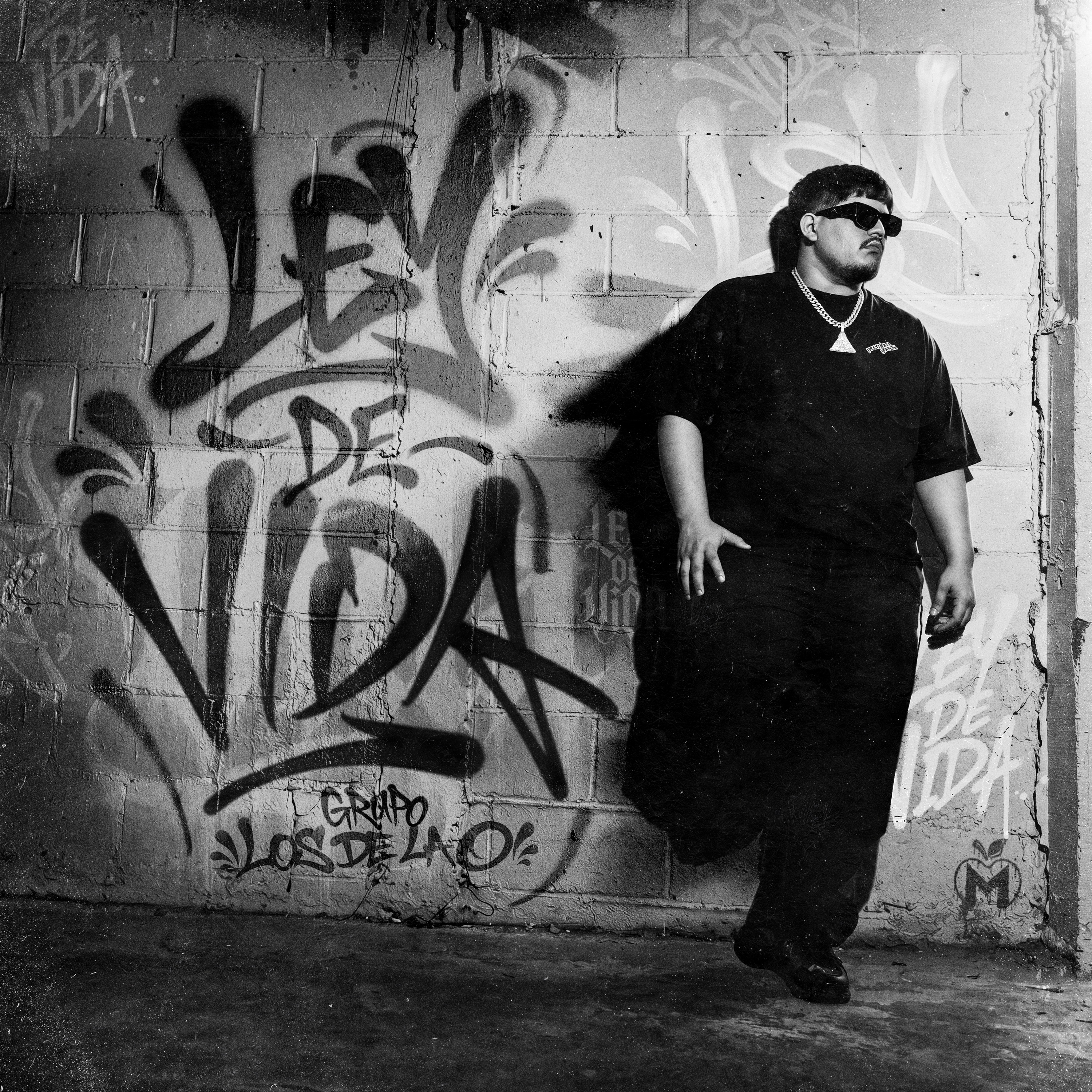 LEY DE VIDA album cover