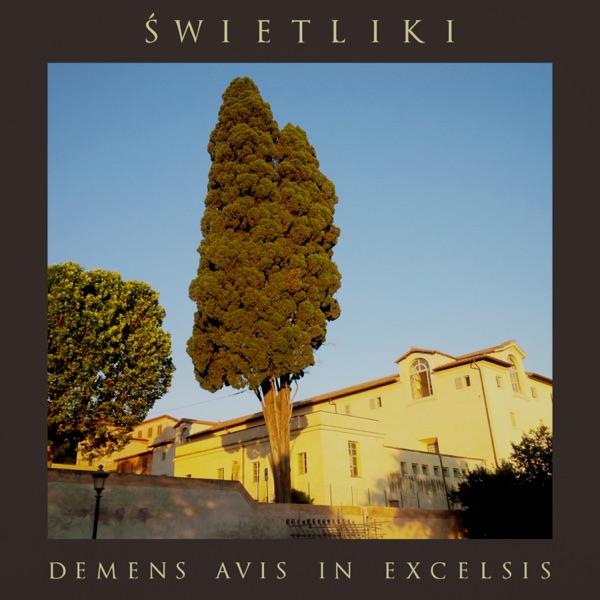 Demens Avis In Excelsis album cover