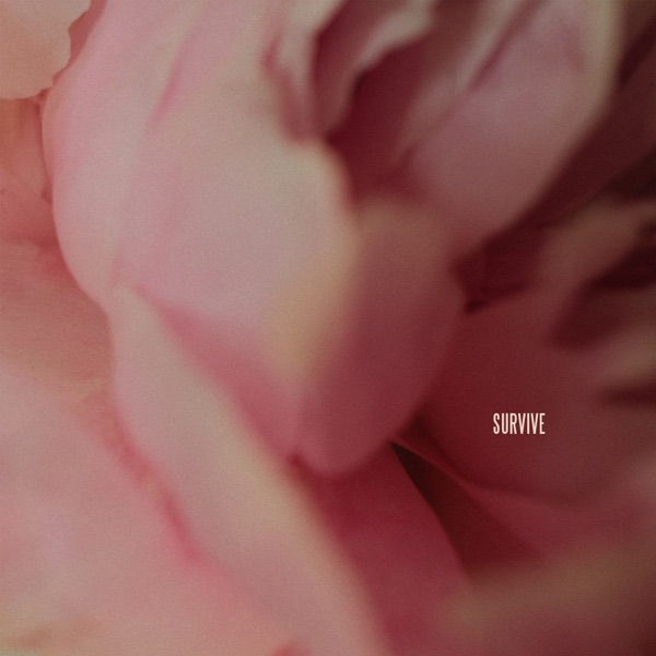 Survive - Single album cover