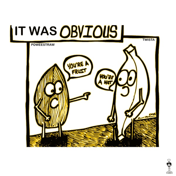 It Was Obvious (feat. Twista) - Single album cover