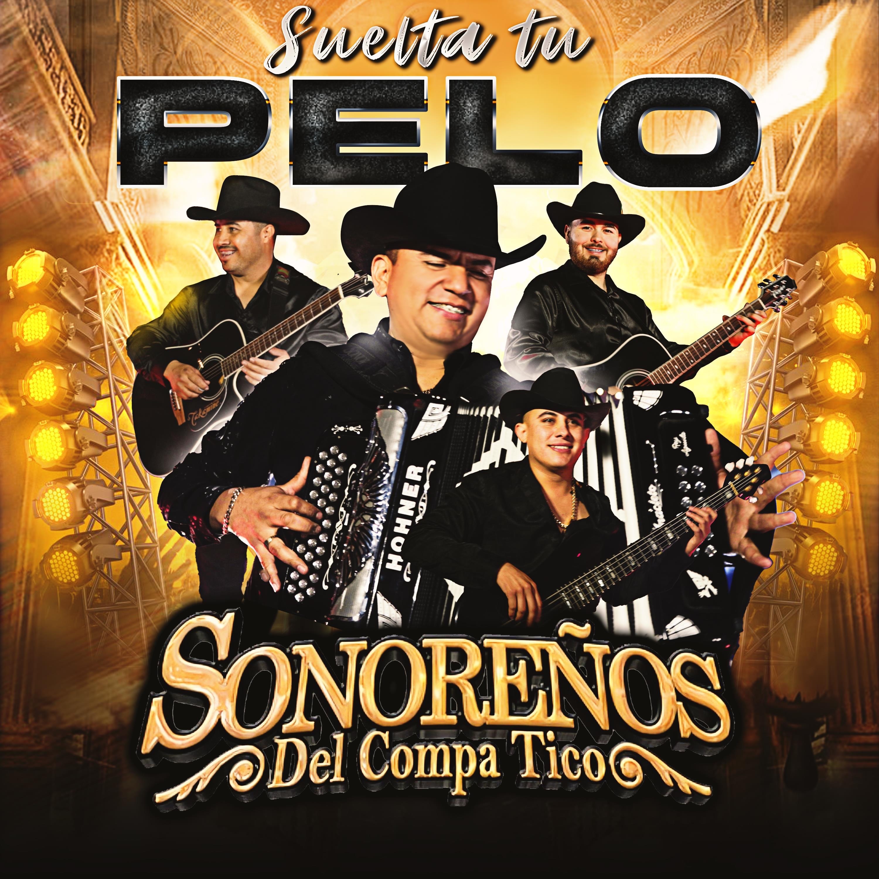 Suelta Tu Pelo album cover