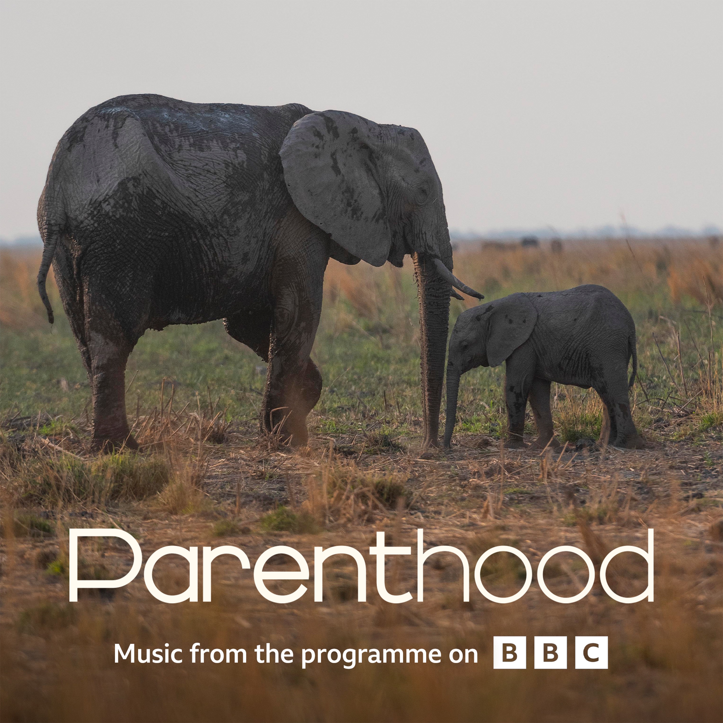 Go Steady (From BBC's Parenthood) - Single album cover
