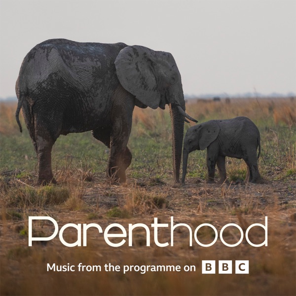 Go Steady (From BBC's Parenthood) - Single album cover